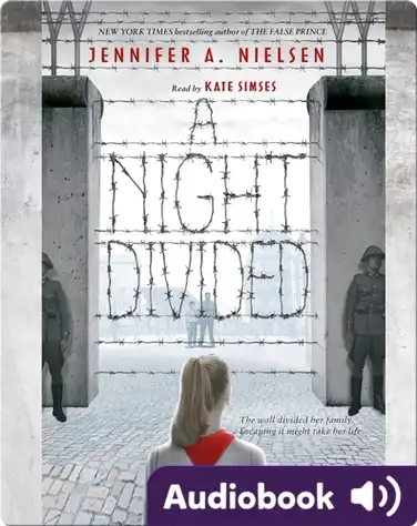 A Night Divided book