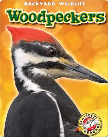 Woodpeckers: Backyard Wildlife book