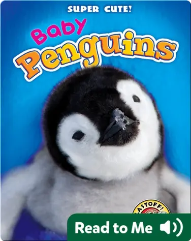 Super Cute! Baby Penguins book