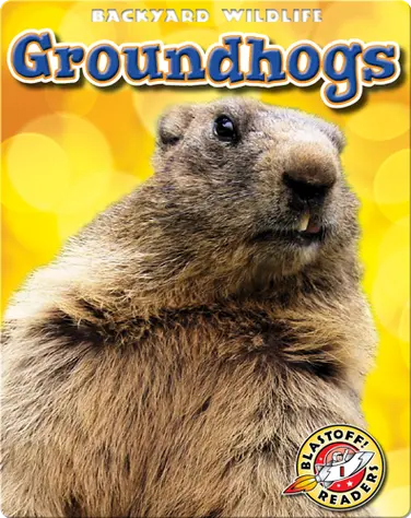 Backyard Wildlife: Groundhogs book
