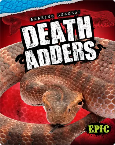Amazing Snakes! Death Adders book