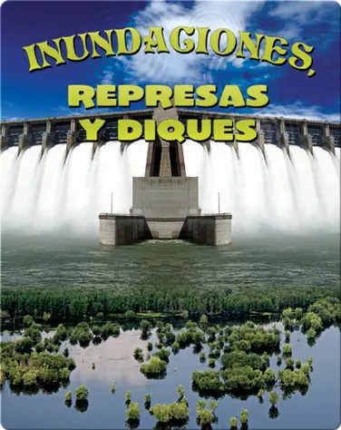 Inundaciones, represas y diques book