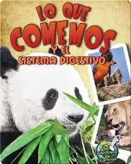 Lo que comemos y el sistema digestivo