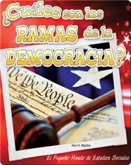 ¿Cuáles son las ramas de la democracia?