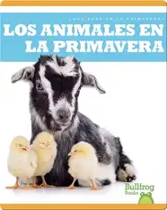 Los animales en la primavera