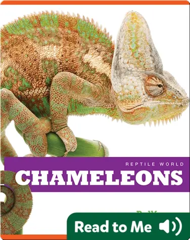 Reptile World: Chameleons book
