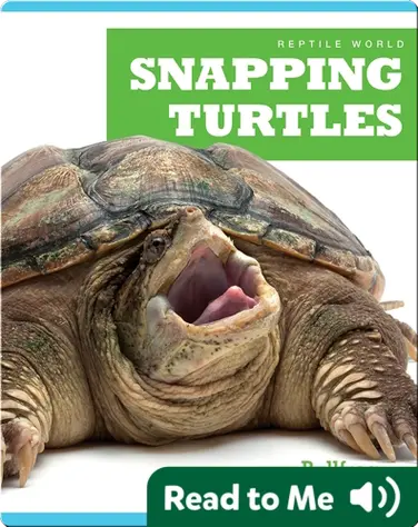 Reptile World: Snapping Turtles book