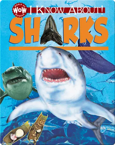 I Know About! Sharks book