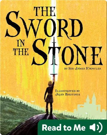 The Sword in the Stone book