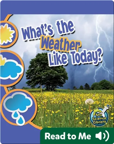 What's The Weather Like Today? book