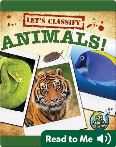 Let's Classify Animals! book