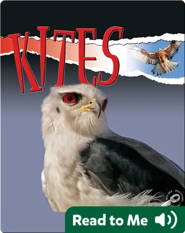 Raptors: Kites book