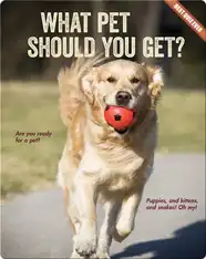 What Pet Should You Get?