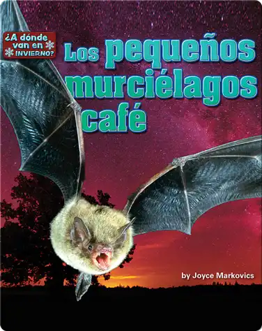 Los pequeños murciélagos café (bats) book