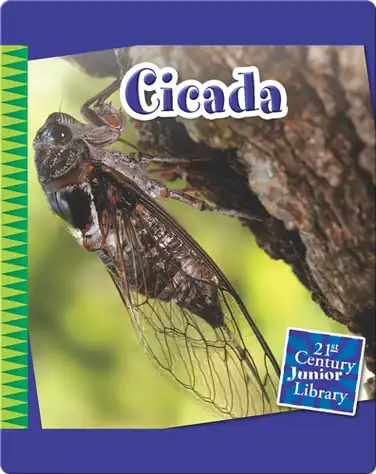 Cicada book