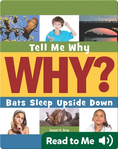 Bats Sleep Upside Down book