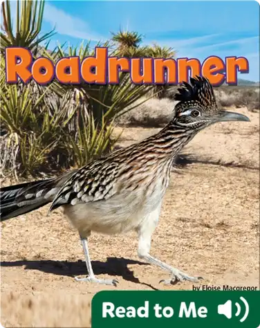 Roadrunner book