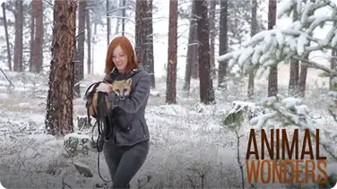 Training #2: Operant Conditioning book