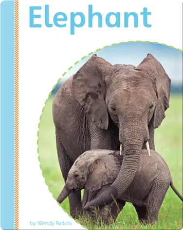 Elephant book