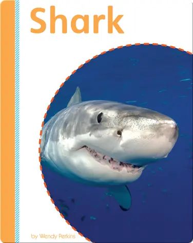 Shark book