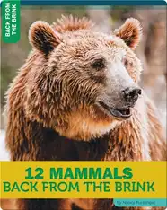 12 Mammals Back From The Brink