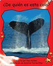 ¿De quién es esta cola?