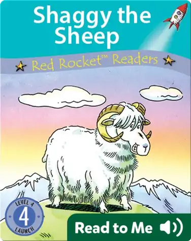 Shaggy the Sheep book