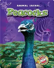 Peacocks