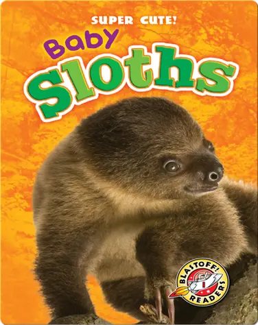 Super Cute! Baby Sloths book