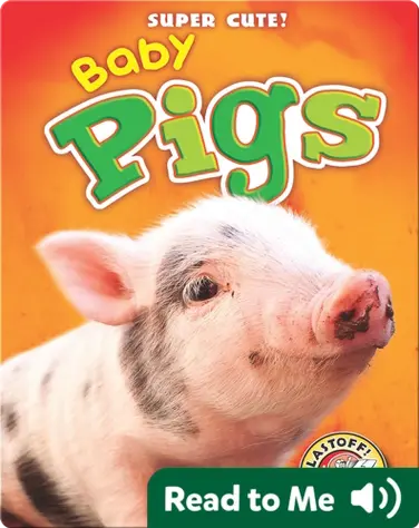 Super Cute! Baby Pigs book