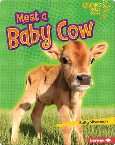 Meet a Baby Cow book