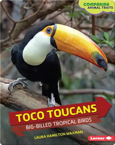 Toco Toucans: Big-Billed Tropical Birds book