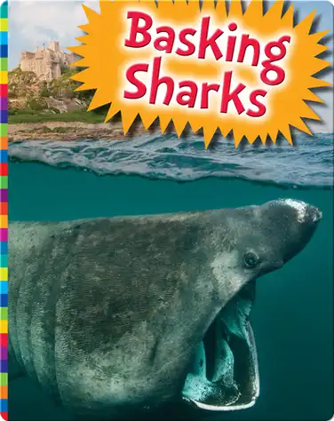 Basking Sharks book