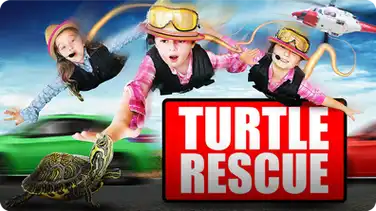 Turtle Rescue | Turtle Rescued from the Highway of Doom! book