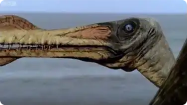 Reptiles of the Skies - Walking With Dinosaurs book