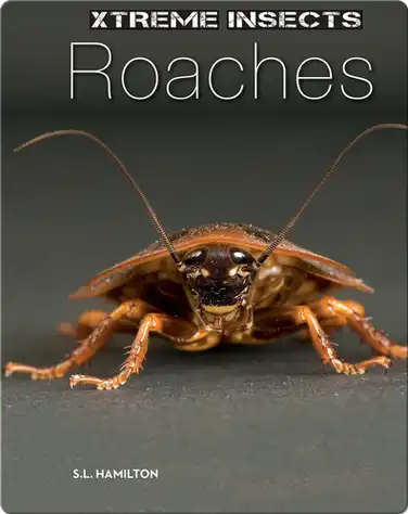 Roaches book