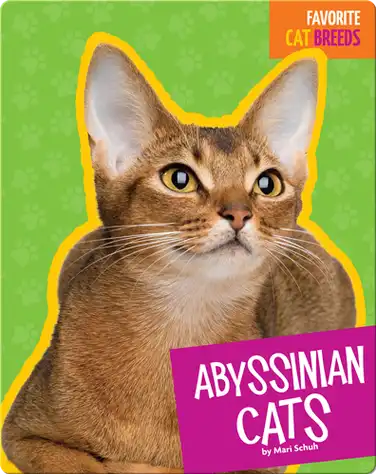 Abyssinian Cats book