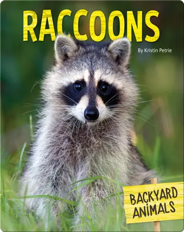 Raccoons book