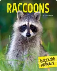 Raccoons