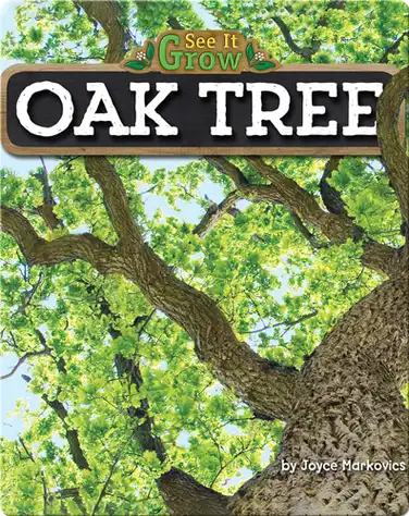 Oak Tree (See It Grow) book