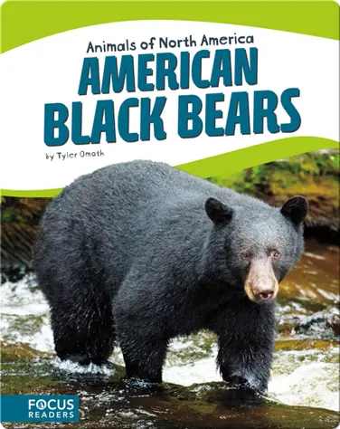 American Black Bears book