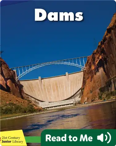 Dams book