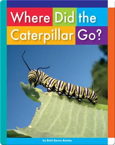 Where Did the Caterpillar Go? book