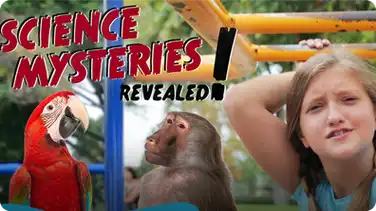Why Can't We Talk to Animals? | SCIENCE MYSTERIES REVEALED book