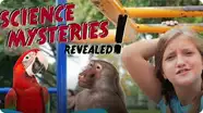 Why Can't We Talk to Animals? | SCIENCE MYSTERIES REVEALED