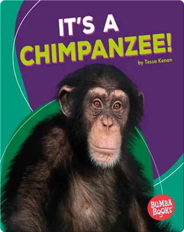 It's a Chimpanzee! book