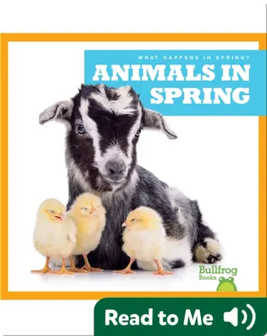 What Happens in Spring? Animals in Spring book