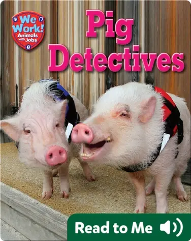 Pig Detectives book