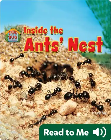 Inside the Ants' Nest book