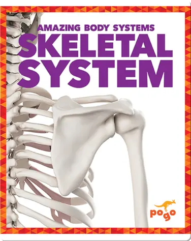 Amazing Body Systems: Skeletal  System book